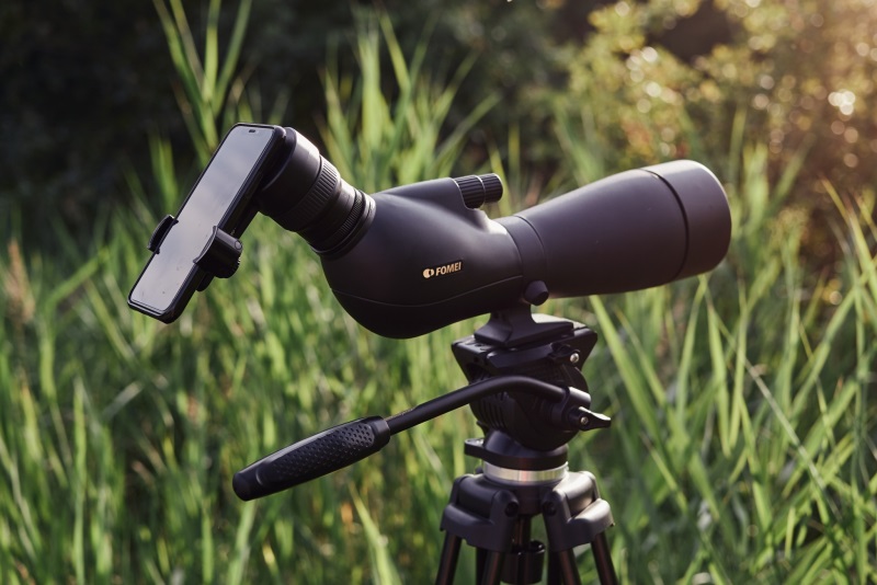 Nature photography with mobile phone 2